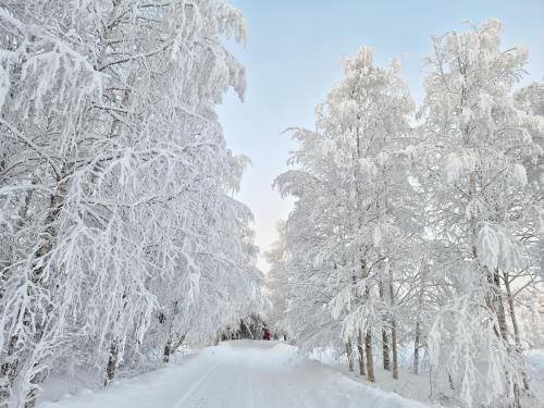 a snow covered tree lined road with snow covered trees at Adorable Arctic Apartments - Private Sauna & Free Parking in Rovaniemi