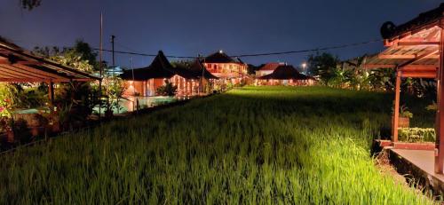 a field of green grass next to some houses at Alamanda Villas, Family Villas, Pool & Local Tours in Yogyakarta