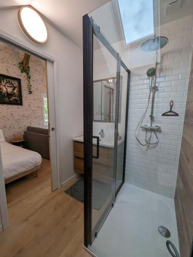 a bathroom with a shower with a glass door at Le Studio Neo-Retro in Digoin