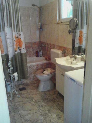 a bathroom with a toilet and a sink and a tub at Apartment Fortuna in Korčula