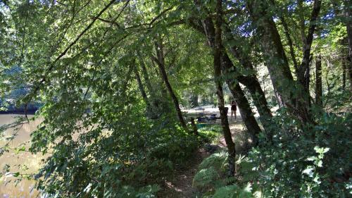 a path through a forest with trees and water at Les Fougères Du Lac in Saint-Plantaire