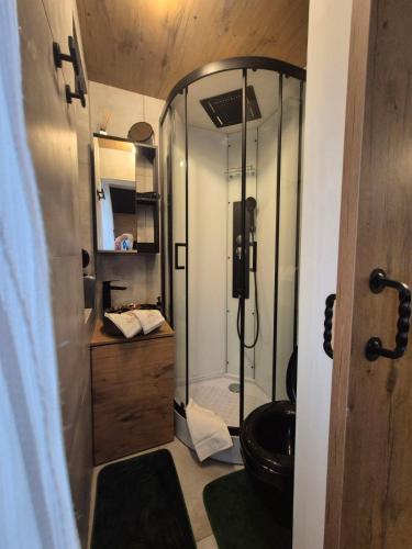 a bathroom with a shower with a sink and a toilet at Holiday house Aria Vučedol in Vukovar