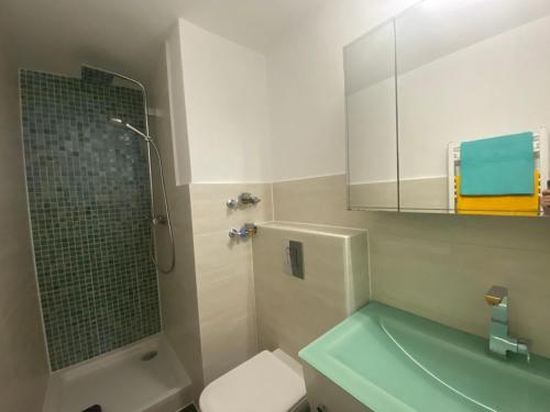 a bathroom with a shower and a toilet and a sink at Sofias Alpenpanorama inkl Aktivcard Bayerischer Wald in Freyung