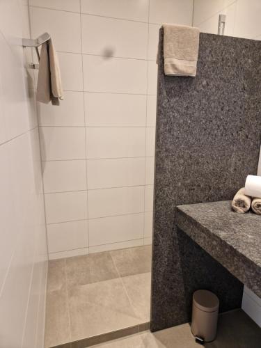 a bathroom with a shower and a sink at Brenzapartments Heidenheim in Heidenheim an der Brenz