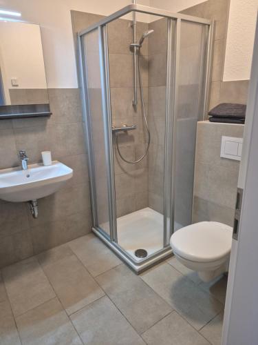 a bathroom with a shower and a toilet and a sink at Hotel Kropper Busch Garni in Kropp
