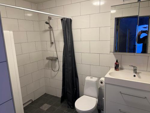 a bathroom with a shower and a toilet and a sink at Hjortgården in Mora