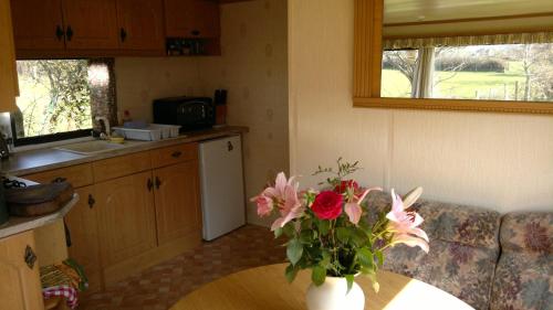 A kitchen or kitchenette at Caravan by Sea