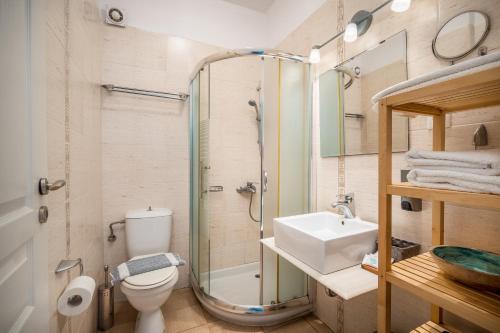 a bathroom with a shower and a toilet and a sink at Indigo Studios in Livadi
