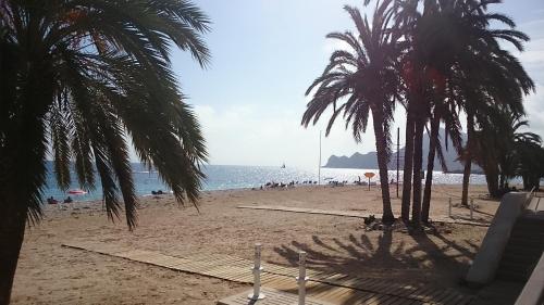 a sandy beach with palm trees and the ocean at Apartamentos La Mar in Altea
