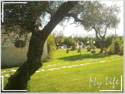a tree in the middle of a grass field at MyLife B&B Country House in Castellaneta Marina 