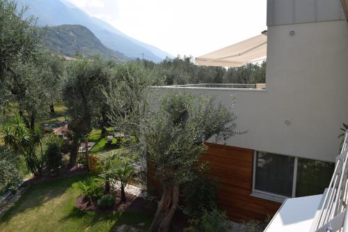 a view of a yard with trees and a building at "CASABANA" - relax tutto l'anno - giardino - piscina Top in Malcesine
