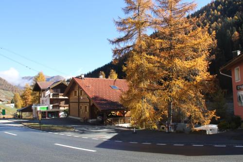 a tree on the side of a road next to a building at Casa Carinthia in Samnaun