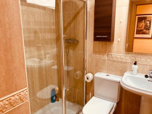 a bathroom with a shower and a toilet and a sink at Fuenteberros 1 in Golmayo