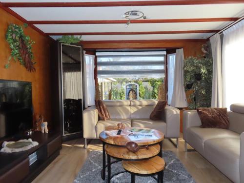 a living room with a couch and a table at Veluwe Park Reewold Chalet Vision in Putten