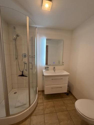 a bathroom with a shower and a sink and a toilet at Ferienwohnung Kramerblick Marienplatz in Garmisch-Partenkirchen