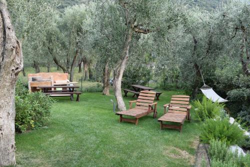 a group of benches sitting in a yard with trees at "CASABANA" - relax tutto l'anno - giardino - piscina Top in Malcesine