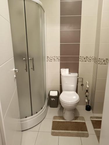 a bathroom with a toilet and a glass shower at Apartman Vuk in Ćuprija
