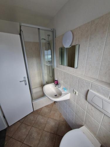 a bathroom with a sink and a shower and a toilet at Galgenberghof Müncheberg in Müncheberg