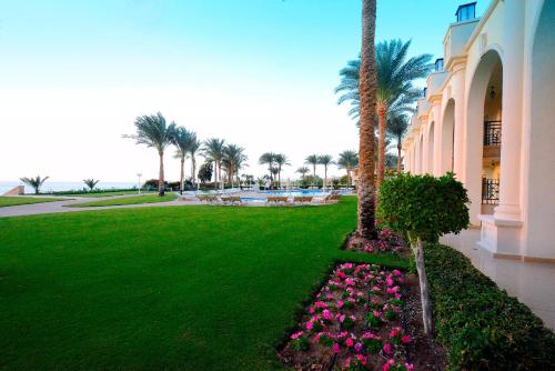 a green yard with pink flowers and a palm tree at Stella Di Mare Beach Hotel & Spa in Sharm El Sheikh