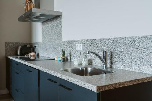 a kitchen with a stainless steel sink and blue cabinets at Kabbelaarsbank 2C - Port Marina Zélande in Ouddorp