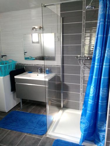 une salle de bain avec un lavabo et une douche en verre dans l'établissement Les Gites de Castera, à Aire-sur-lʼAdour