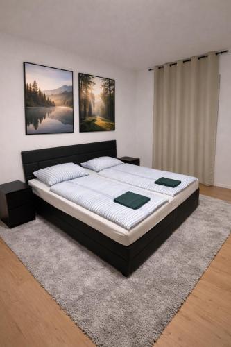 a bedroom with a large bed with two pictures on the wall at Comfort Stay Koblenz in Koblenz