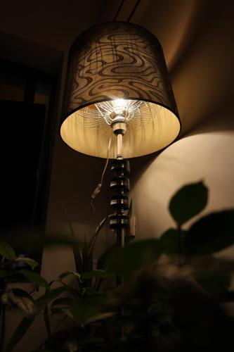 a lamp in a room with a plant at Villa 18 Hostel in Tirana