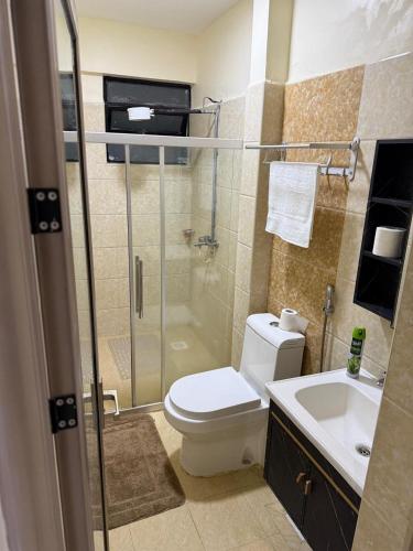 a bathroom with a shower and a toilet and a sink at pk Luxury Homes in Nairobi