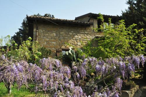 La Casa sulla Collina d'Oro – Photos 2