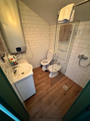 a bathroom with a toilet and a sink at Kotlós Tanya in Zákányszék