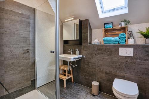 a bathroom with a shower and a toilet and a sink at Ferienwohnungen Etzl in Bad Mergentheim