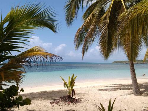 Centre Ste Anne plage & commerces à 200m