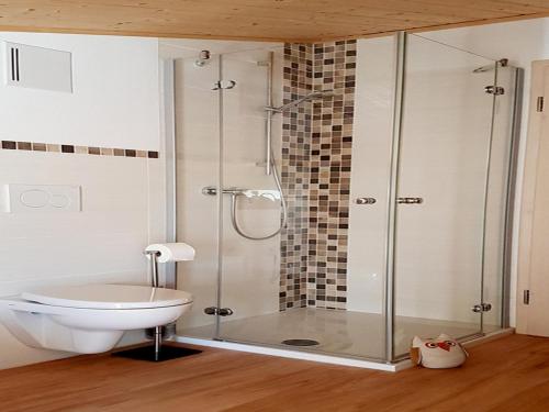a bathroom with a shower with a toilet and a sink at Ferienwohnung Ruf in Küps