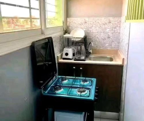 Appartement CENTRE VILLE