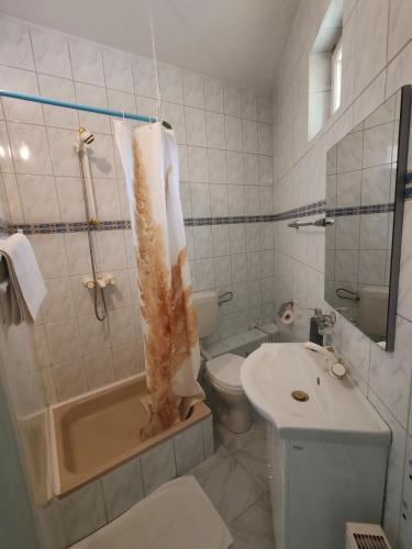 a bathroom with a tub and a toilet and a sink at Erdős Panzió in Ditrău