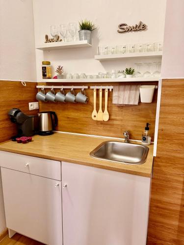 a kitchen with a sink and a wooden counter top at Apartmány ZELENÝ DOM in Podhájska