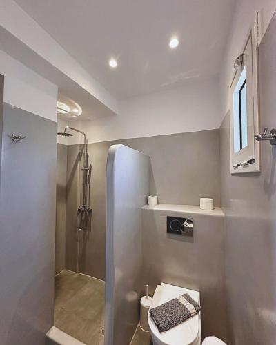 a bathroom with a shower and a toilet and a sink at Hermes-Ios Rooms To Let in Ios Chora