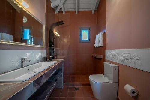 a bathroom with a toilet and a sink and a mirror at Dio Escapes Villas in Poulithra