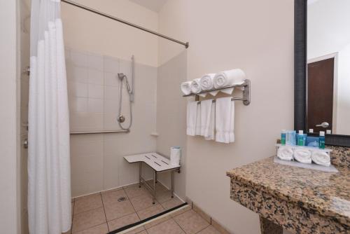 uma casa de banho com um chuveiro e um lavatório. em Holiday Inn Express & Suites Washington - Meadow Lands, an IHG Hotel em Washington
