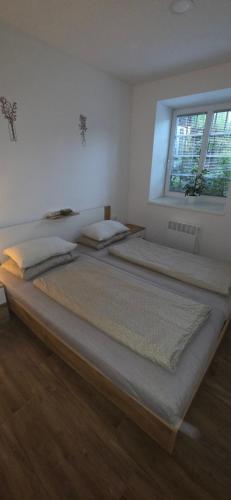 two large beds in a room with a window at Maestro I. in Laško