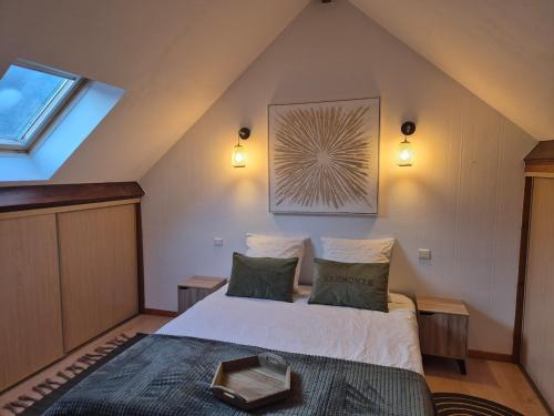 a bedroom with a bed in a attic at Le nid des Pyrénées in Vielle-Aure