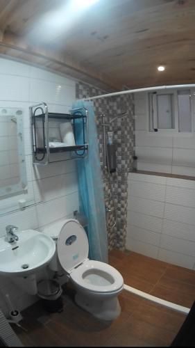 a bathroom with a toilet and a sink at On Board Hostel in Manzhou