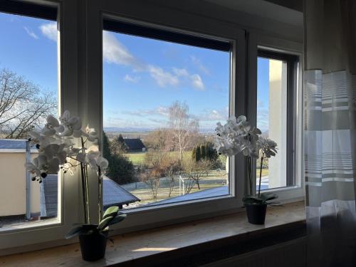 a window with white flowers on a window sill at Ferienwohnung "Am Malerweg" Lohmen in Lohmen