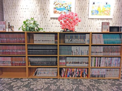 a book shelf filled with lots of dvds at Usa Hotel Riverside in Usa