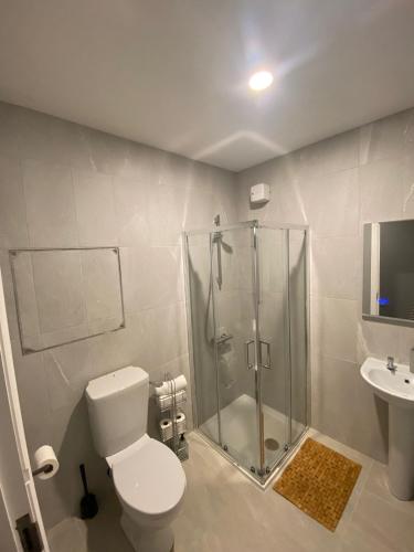 a bathroom with a shower and a toilet and a sink at Madison House in Galway