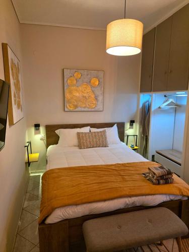 Cozy ground floor apartment in the downtown