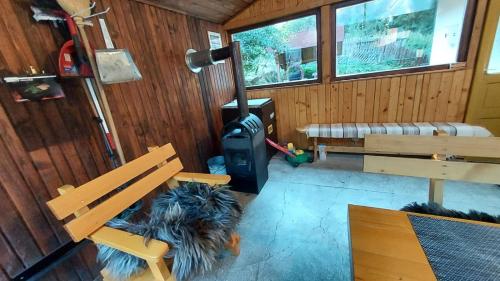 a dog sitting on a bench in a room at Bori Guest House in Miercurea-Ciuc