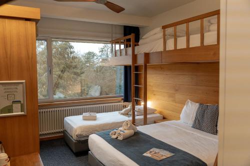 a bedroom with two bunk beds and a window at Mont-des-Pins in Durbuy