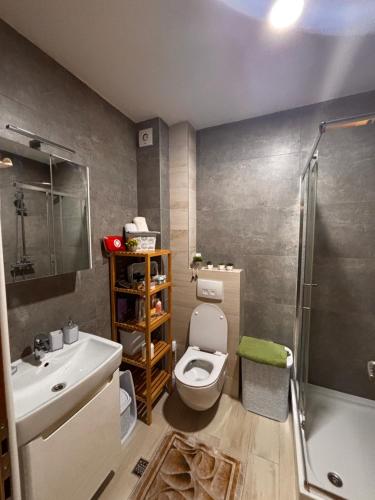 a bathroom with a toilet and a sink and a shower at Mima in Sarajevo