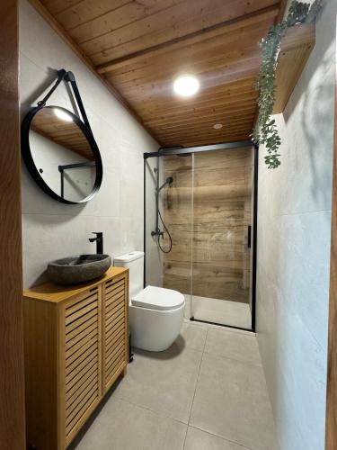a bathroom with a toilet and a sink and a mirror at Villa Loma de Bas 1 y 2 in Águilas